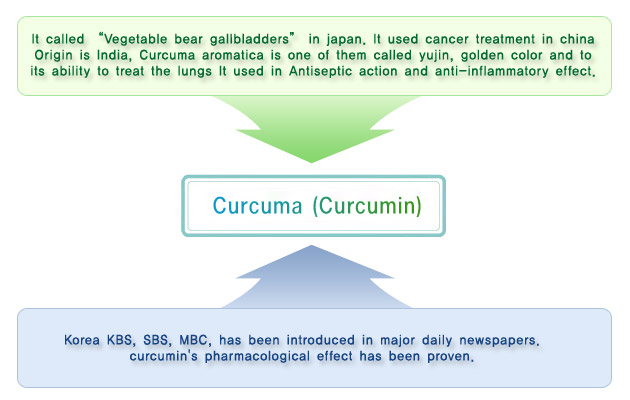 nano curcumin1