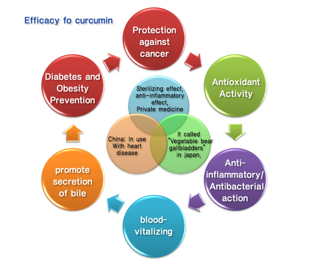 nano curcumin2